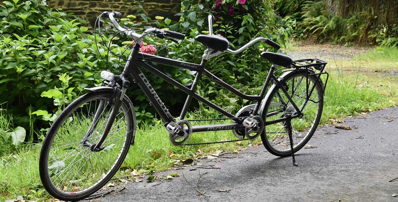 הנאה אמיתית